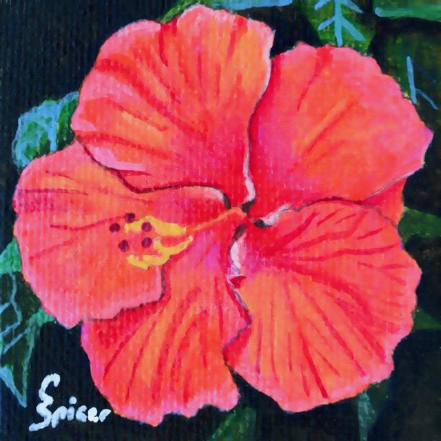 Red Hibiscus - Painting by Christopher Spicer