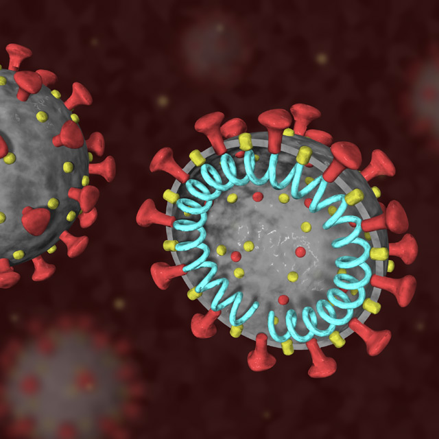 Novel Coronavirus COVID-19 - 3D Model by Christopher Spicer