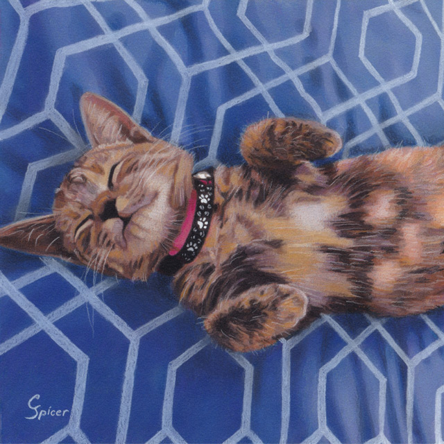 Nap Time for Ellie - Drawing by Christopher Spicer